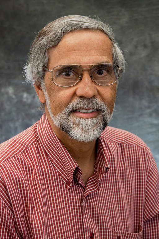 R. Paul Singh