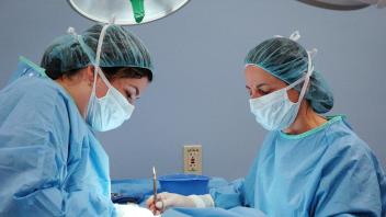 Dr. Amy Kapatkin performing surgery, masked up and in a surgery gown with her hair wrapped up in a net. She is on the right hand side. 