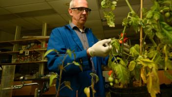 Professor Johan Leveau in his lab