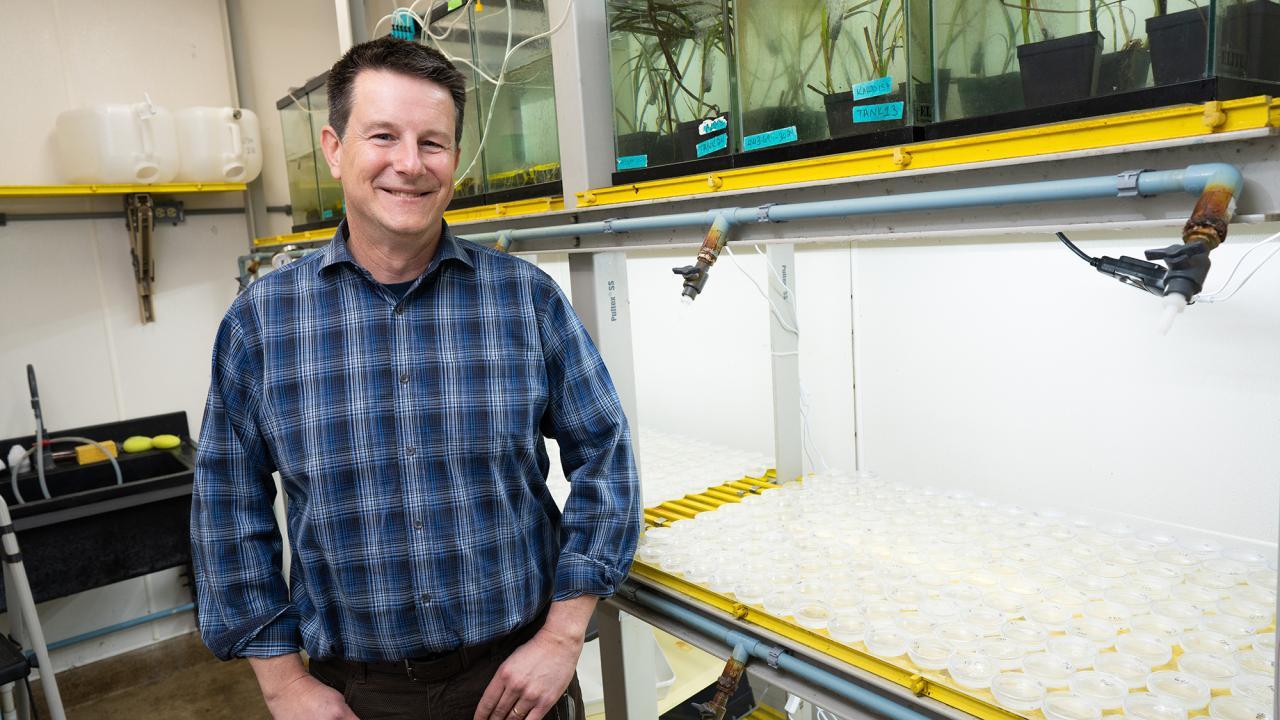 Professor Jay Stachowicz in his lab
