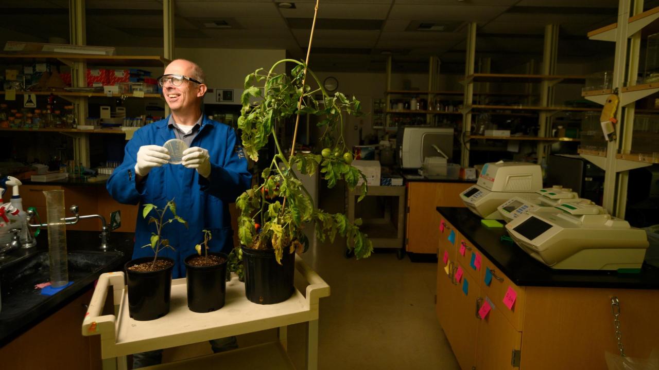 Professor Johan Leveau in his lab