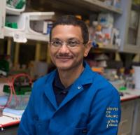 Prof. Aldrin V. Gomes