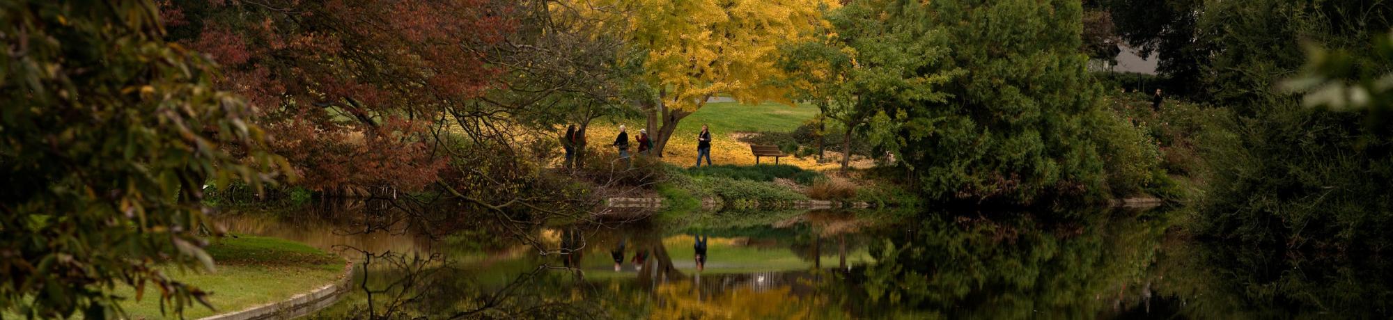 Fall Lake