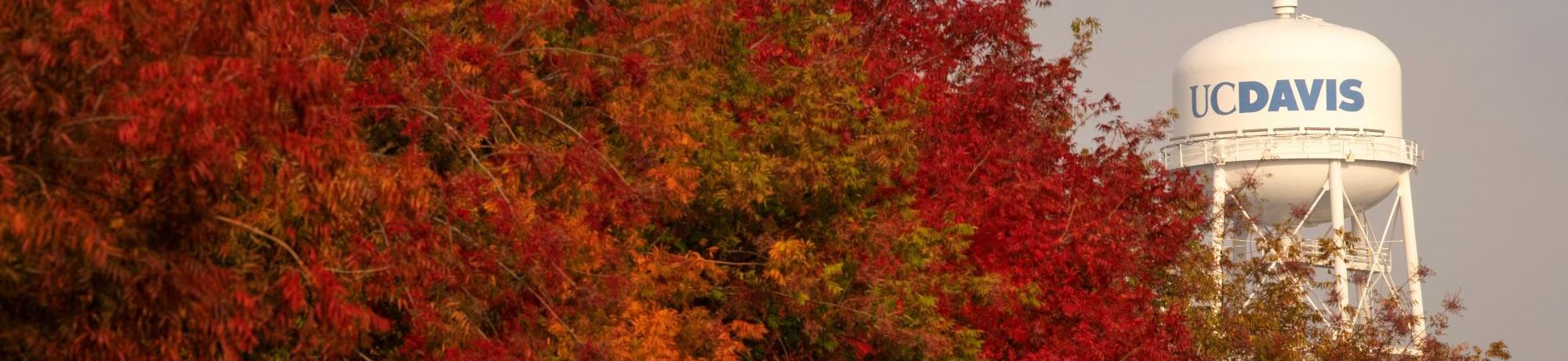 autumn UCD watertower