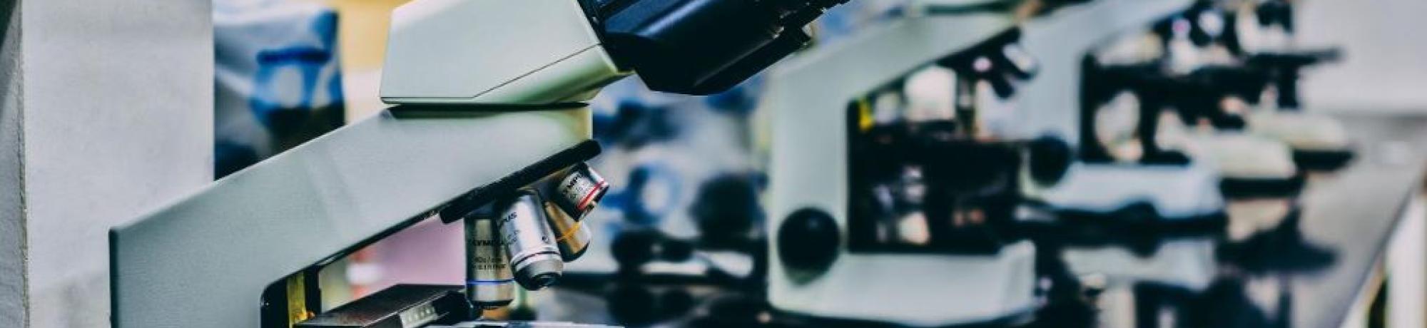 a row of microscopes