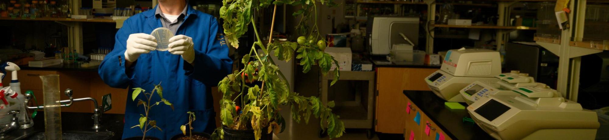 Professor Johan Leveau in his lab